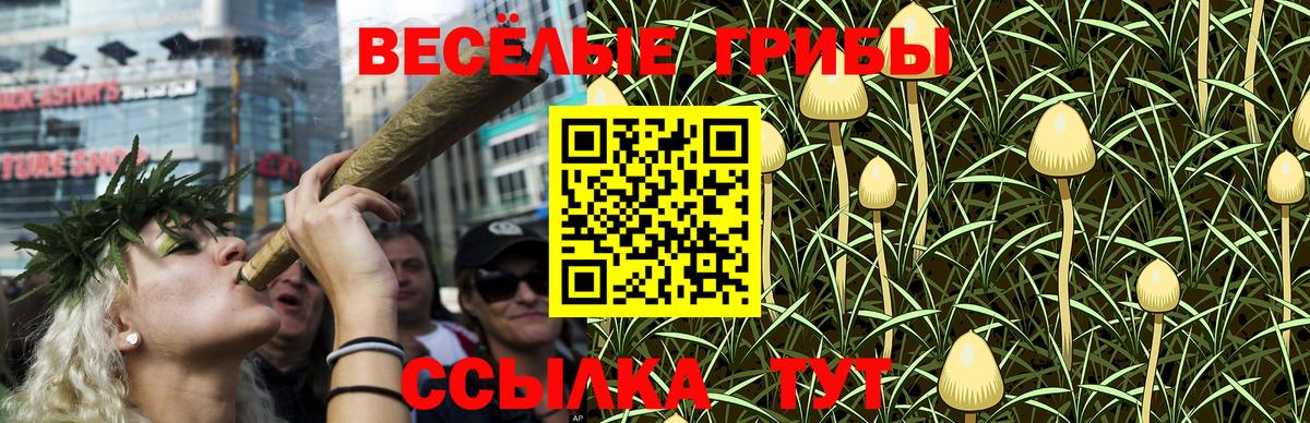 Галлюциногенные грибы Cubensis  Вход с VPN  Донецк 